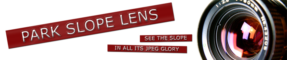 Park Slope Lens Park Slope Lens